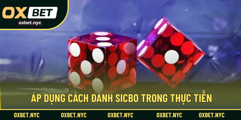 Áp dụng cách đánh sicbo trong thực tiễn