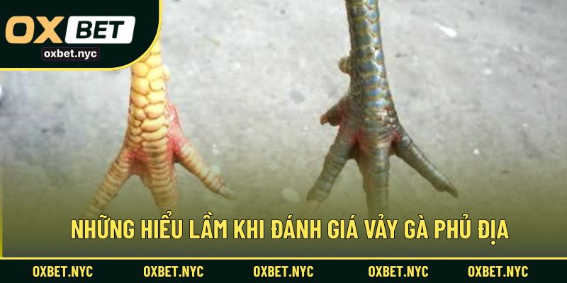 Các hiểu nhầm thường gặp khi đánh giá vảy gà phủ địa