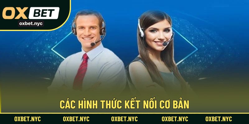 Các hình thức kết nối cơ bản