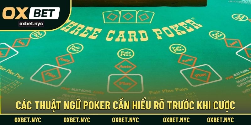 Các thuật ngữ Poker cần hiểu rõ trước khi cược