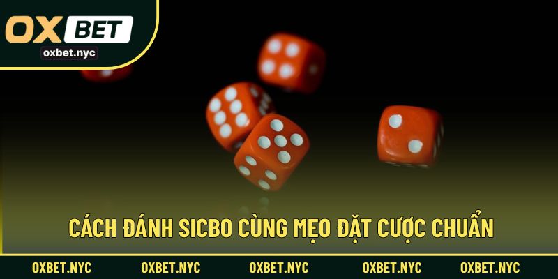 Cách đánh sicbo cùng mẹo đặt cược chuẩn