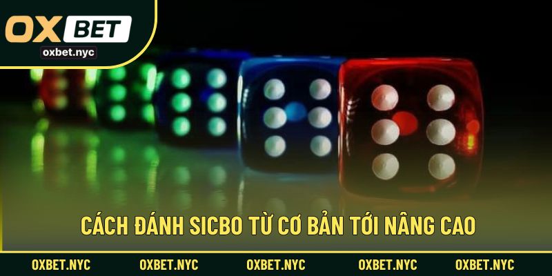 Cách đánh sicbo từ cơ bản tới nâng cao