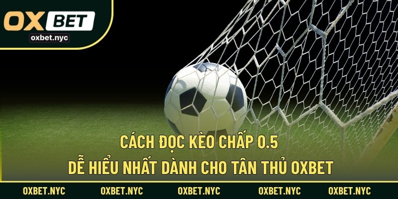 Cách Đọc Kèo Chấp 0.5 Dễ Hiểu Nhất Dành Cho Tân Thủ OXBET
