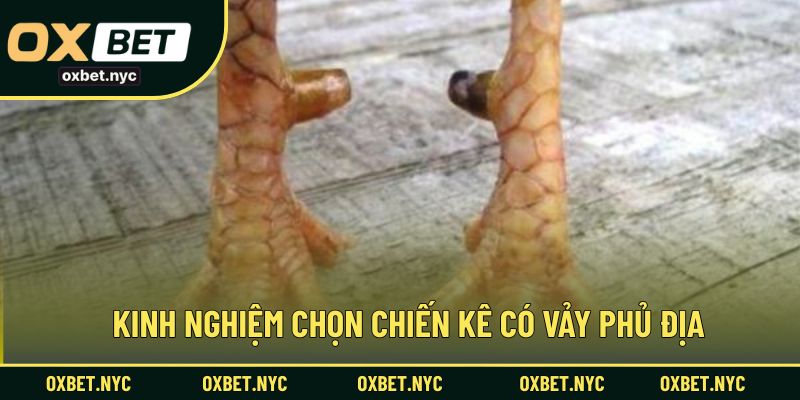 Chia sẻ bí quyết chọn chiến kê từ cao thủ lâu năm