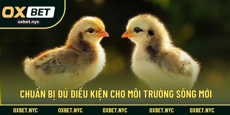 Chuẩn bị đủ điều kiện cho môi trường sống mới