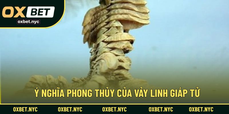 Giá trị tâm linh và ý nghĩa phong thủy của vảy gà linh giáp tử