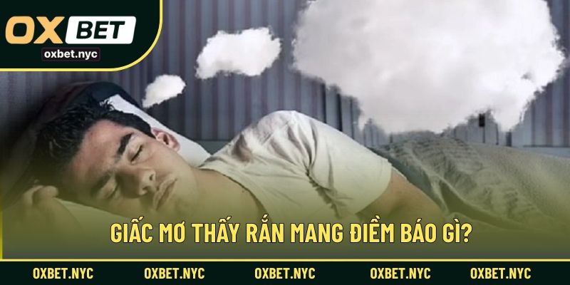 Giấc mơ thấy rắn tiết lộ điều gì về điềm báo và con số may mắn?