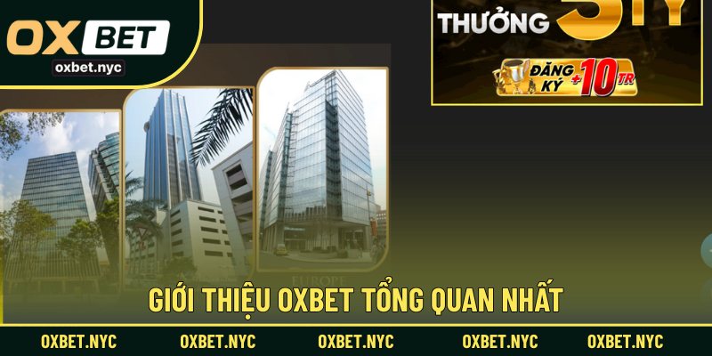 Giới thiệu OXBET tổng quan nhất