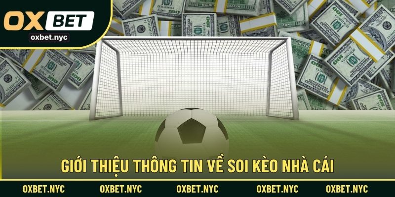 Giới thiệu thông tin về soi kèo nhà cái