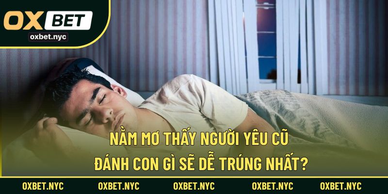Gợi ý con số may mắn khi nằm mơ thấy người yêu cũ
