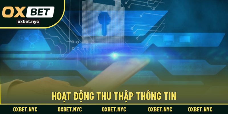 Hoạt động thu thập thông tin