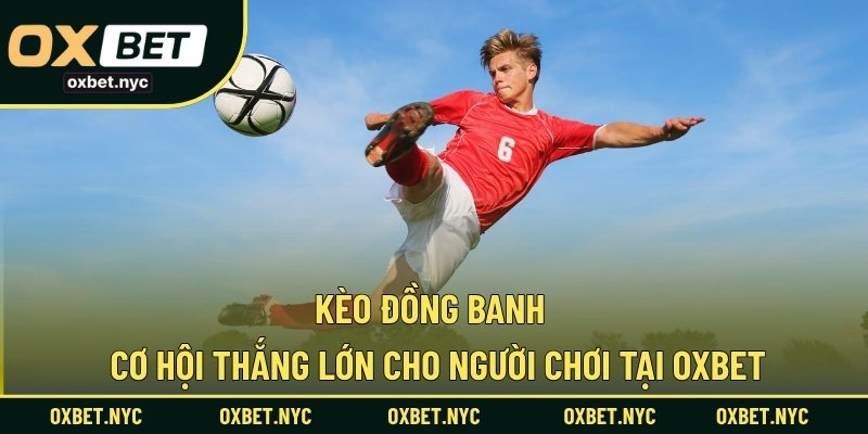 Kèo Đồng Banh – Cơ Hội Thắng Lớn Cho Người Chơi Tại OXBET