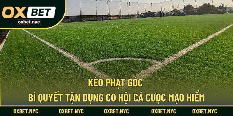Kèo Phạt Góc – Bí Quyết Tận Dụng Cơ Hội Cá Cược Mạo Hiểm