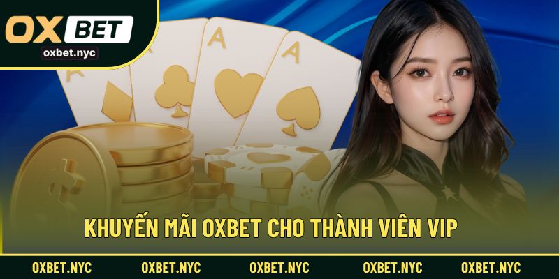 Khuyến mãi OXBET cho thành viên VIP