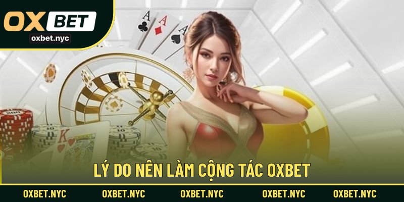 Lý do nên làm cộng tác OXBET