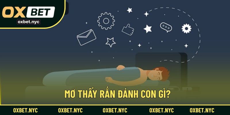 Mơ thấy rắn nên đánh số nào để dễ trúng thưởng tại nhà cái?