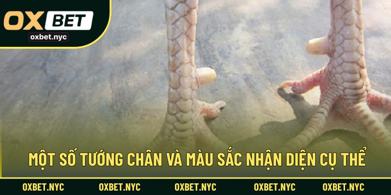 Một số tướng chân và màu sắc nhận diện cụ thể