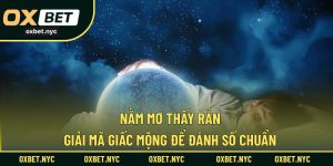 Nằm Mơ Thấy Rắn – Giải Mã Giấc Mộng Để Đánh Số Chuẩn