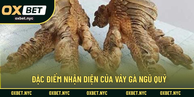 Nhận diện chi tiết hình dạng và đặc trưng của vảy ngũ quỷ