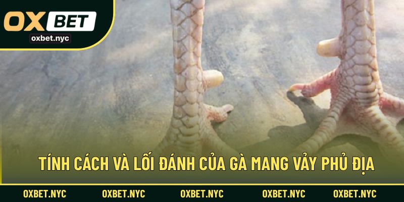 Phân tích lối đánh và bản lĩnh của gà mang vảy phủ địa