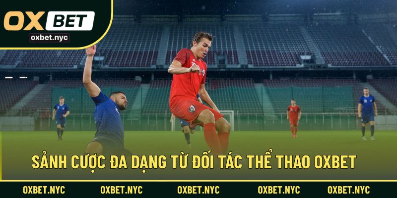 Sảnh cược đa dạng từ đối tác thể thao OXBET