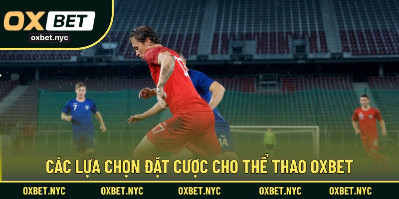 Các lựa chọn đặt cược trải nghiệm cho thể thao OXBET