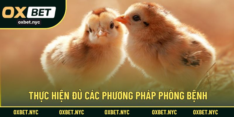 Thực hiện đủ các phương pháp phòng bệnh