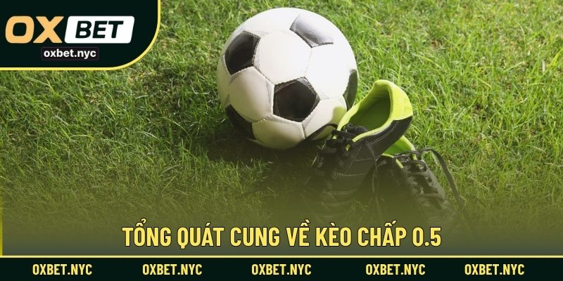 Tổng quát cung về kèo chấp 0.5