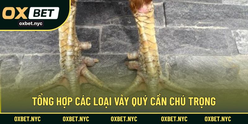 Tổng hợp các loại vảy quý cần chú trọng
