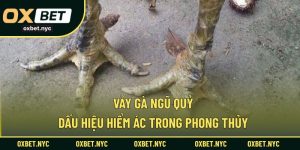 Vảy Gà Ngũ Quỷ – Dấu Hiệu Hiểm Ác Trong Phong Thủy
