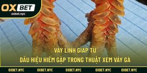Vảy Linh Giáp Tử – Dấu Hiệu Hiếm Gặp Trong Thuật Xem Vảy Gà